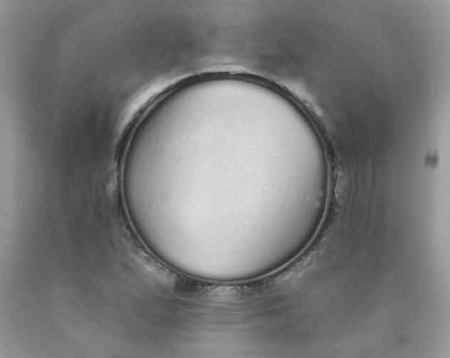 X0000089941167200707201856