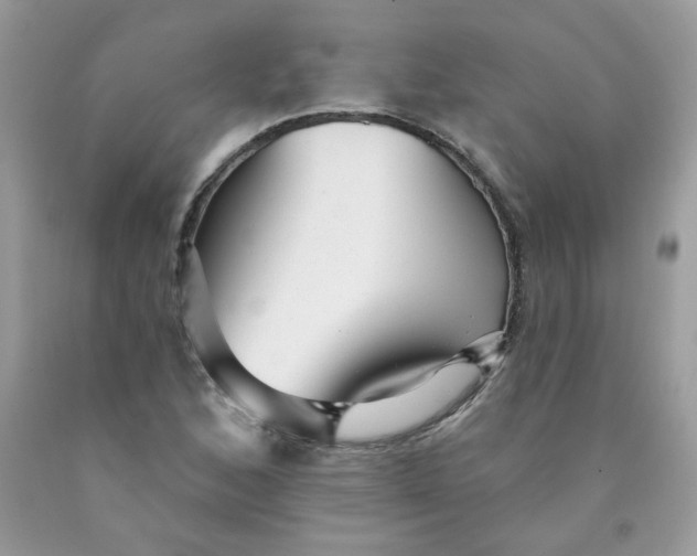 X0000089941168200707201856