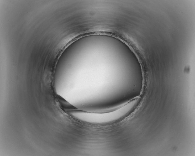 X0000089941169200707201856