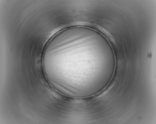 X0000089941170200707201856