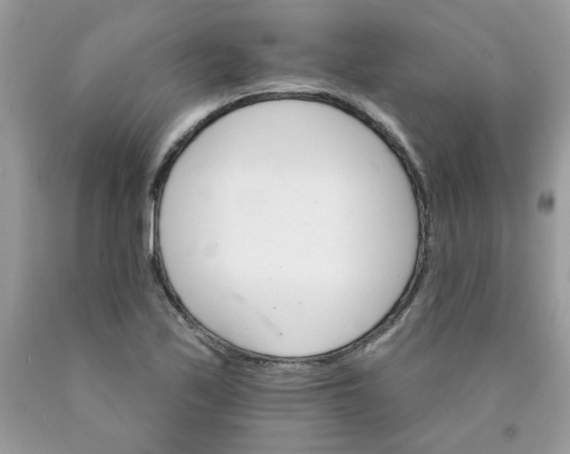 X0000089941171200707201856