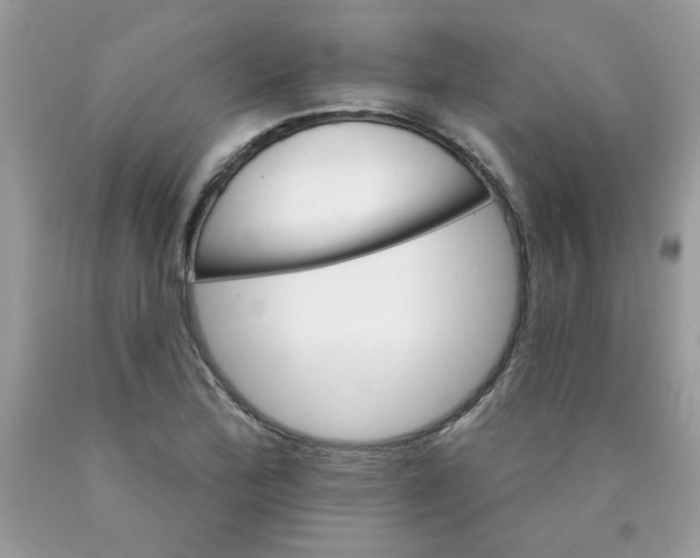 X0000089941172200707201856