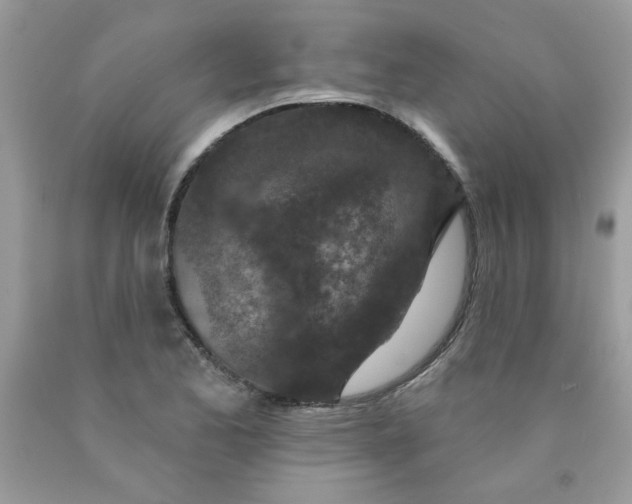 X0000089941173200707201856