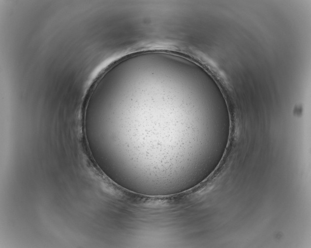 X0000089941174200707201856