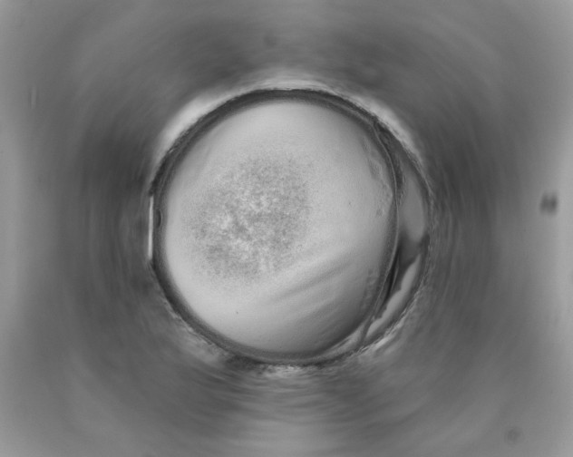 X0000089941175200707201856