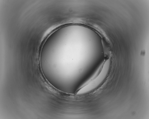 X0000089941176200707201856