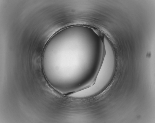 X0000089941177200707201856