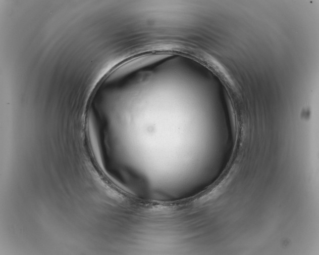 X0000089941178200707201856