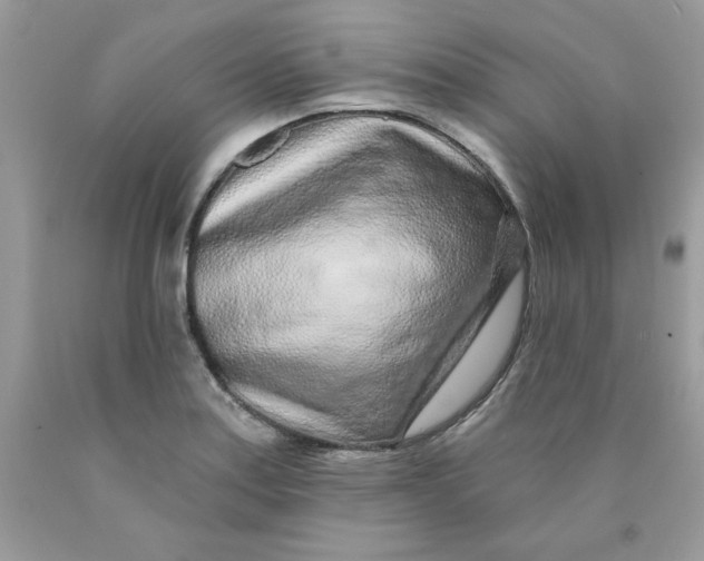 X0000089941179200707201856