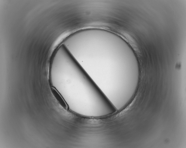 X0000089941180200707201856