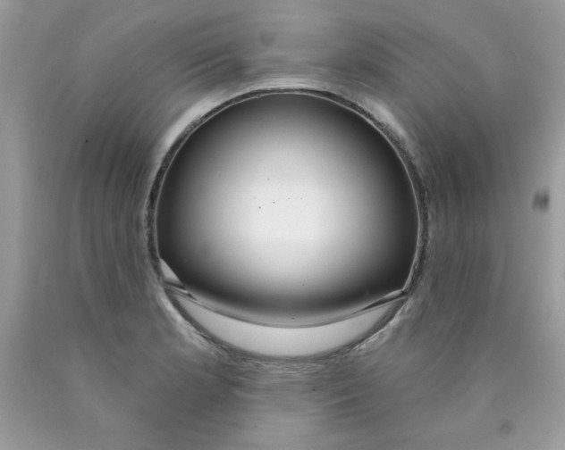 X0000089941181200707201856