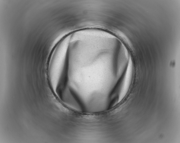 X0000089941182200707201856