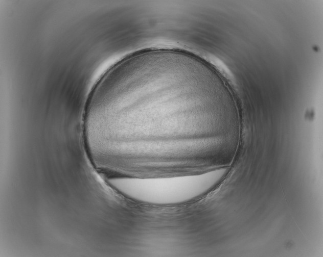 X0000089941183200707201856