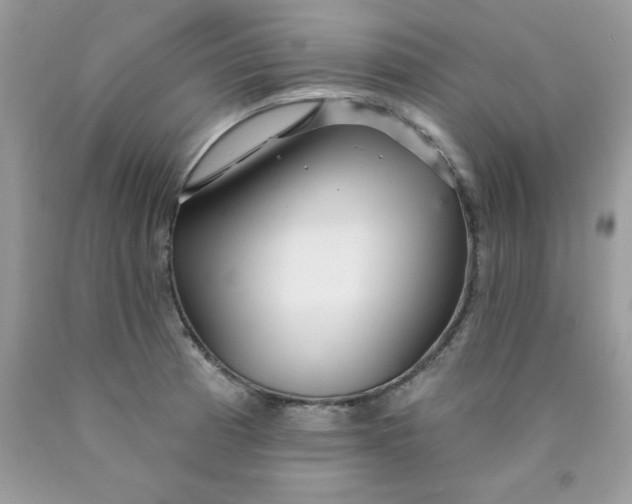 X0000089941185200707201856