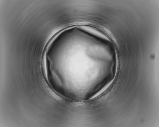 X0000089941186200707201856