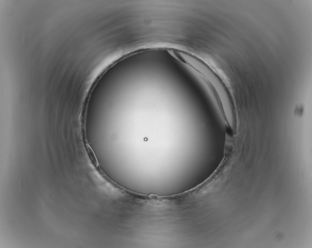 X0000089941189200707201856