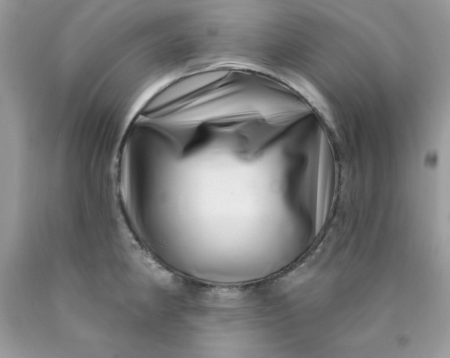 X0000089941190200707201856