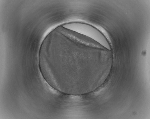 X0000089941191200707201856