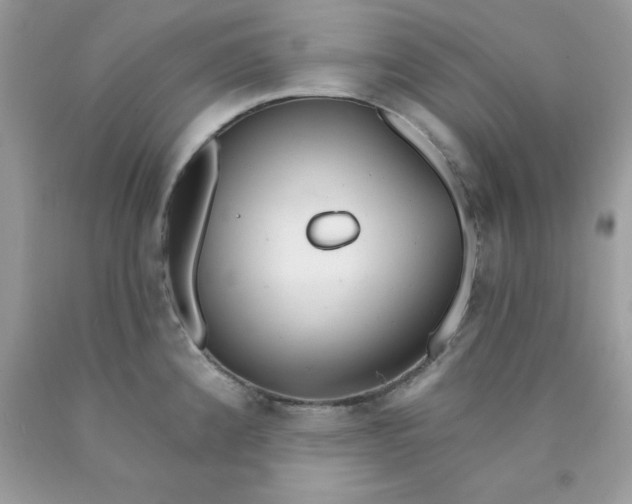 X0000089941192200707201856