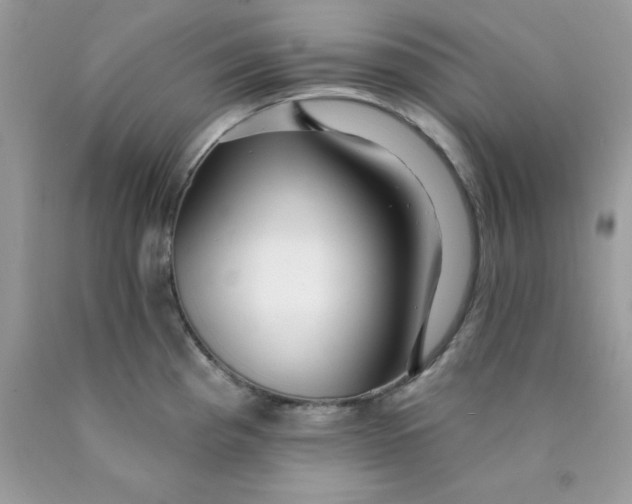 X0000089941193200707201856