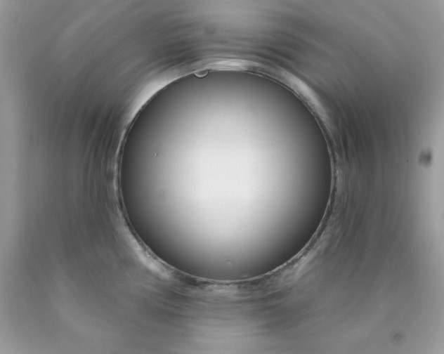 X0000089941194200707201856