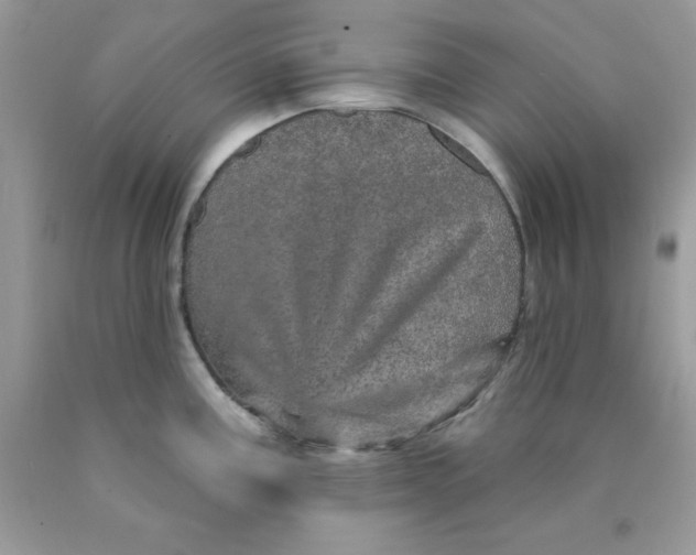 X0000089941195200707201856