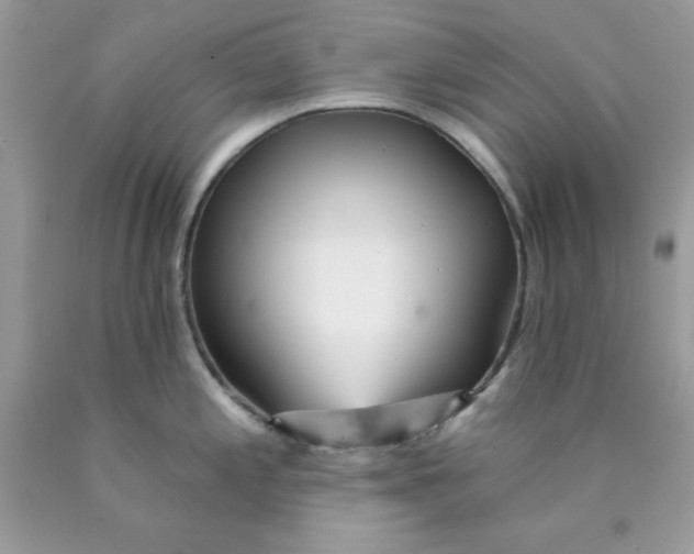 X0000089941197200707201856