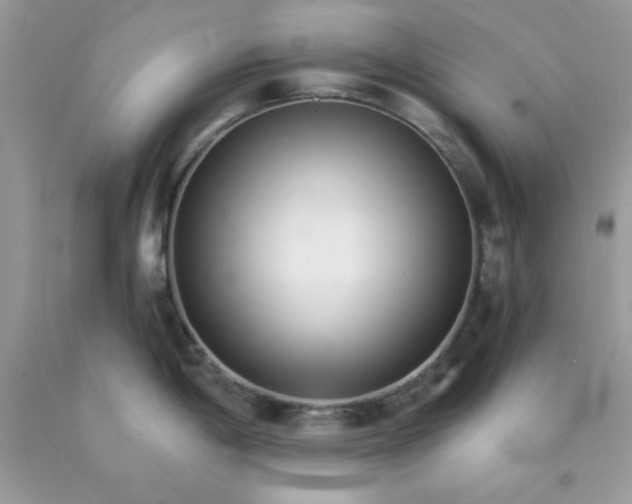 X0000089941198200707201856