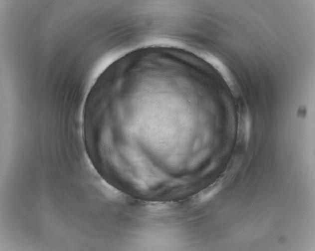 X0000089941199200707201856