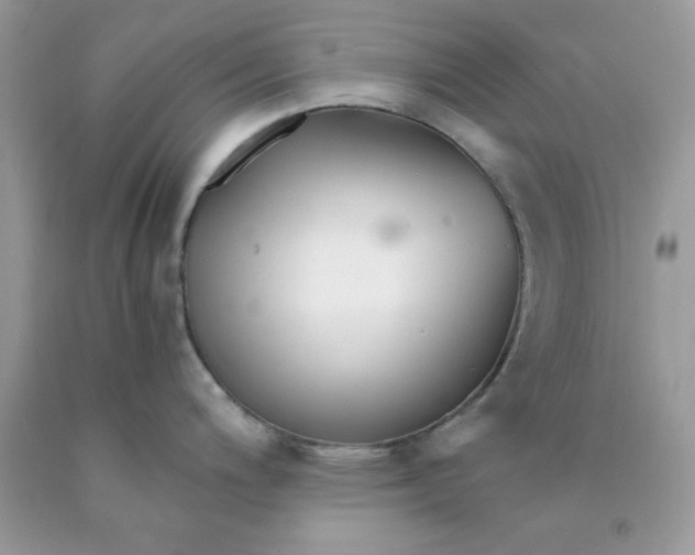 X0000089941200200707201856