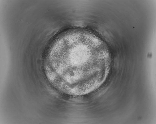 X0000089941201200707201855