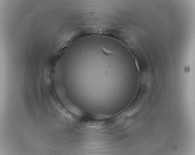 X0000089941202200707201855