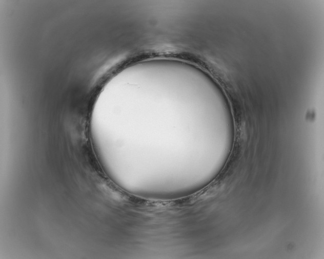 X0000089941205200707201855