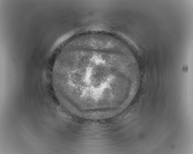 X0000089941207200707201855