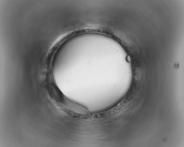 X0000089941208200707201855