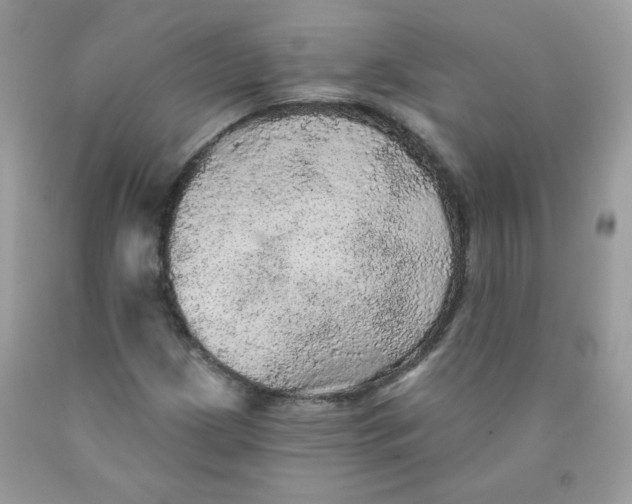 X0000089941209200707201855