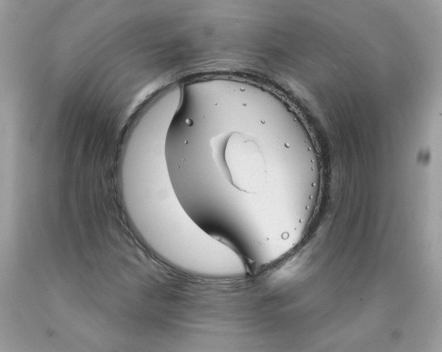 X0000089941210200707201855