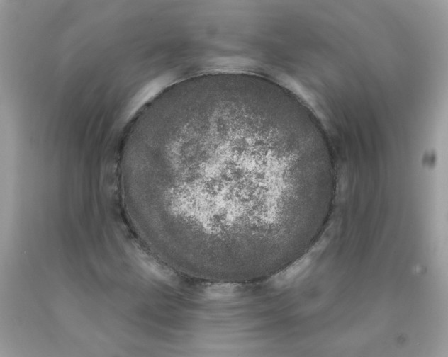 X0000089941211200707201855