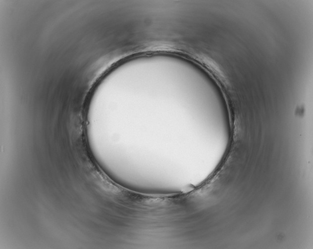 X0000089941212200707201855