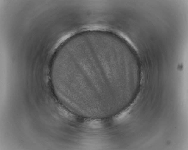 X0000089941213200707201855