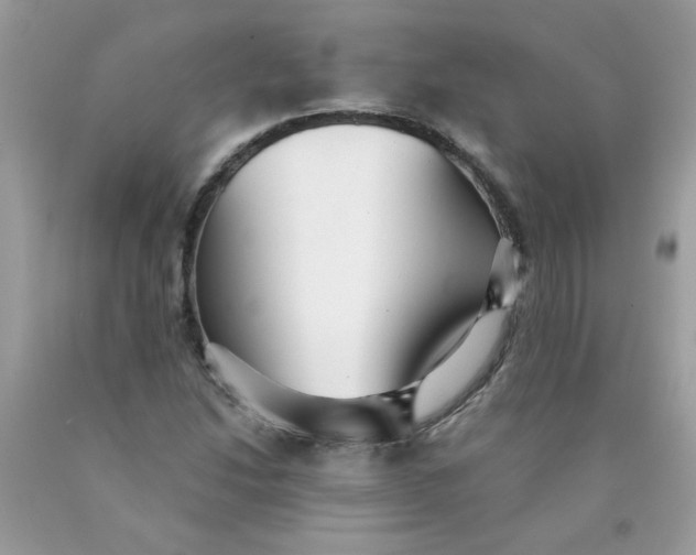 X0000089941214200707201855