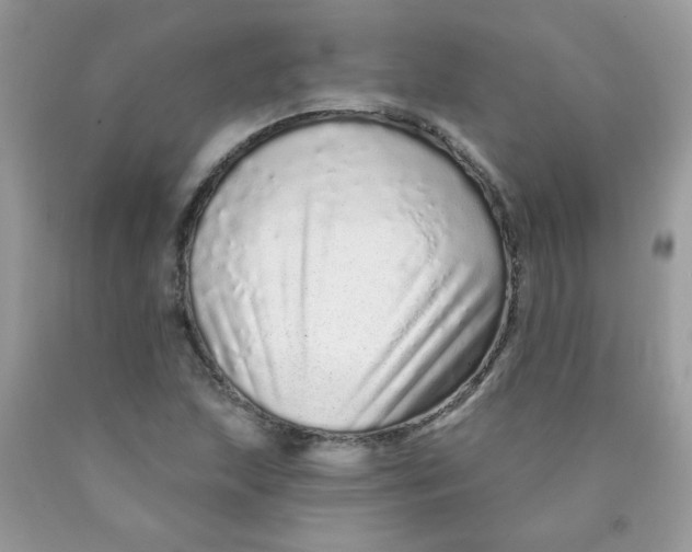 X0000089941215200707201855