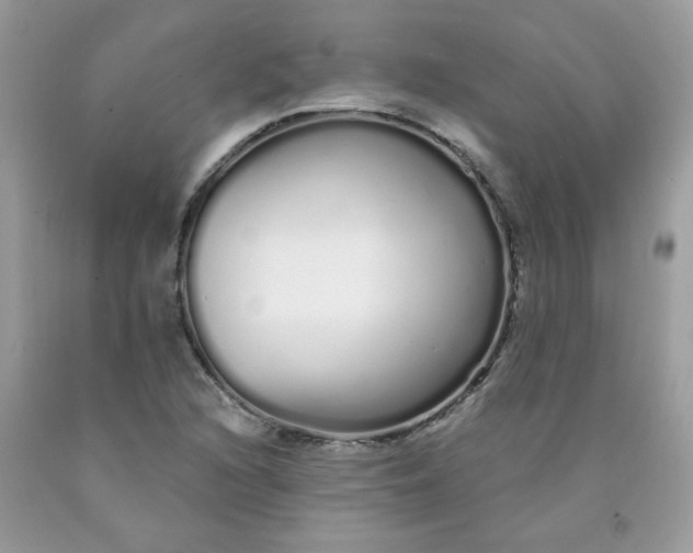 X0000089941216200707201855