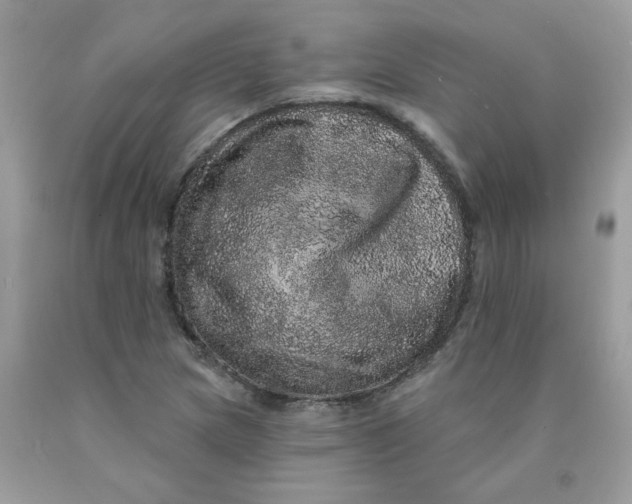 X0000089941217200707201855