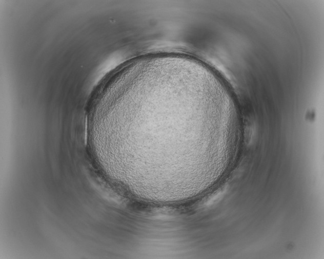 X0000089941219200707201855