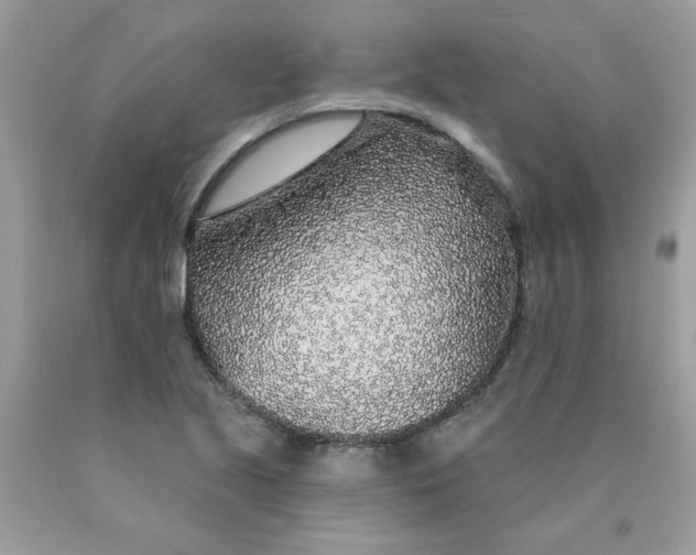 X0000089941221200707201855