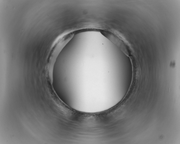 X0000089941222200707201856