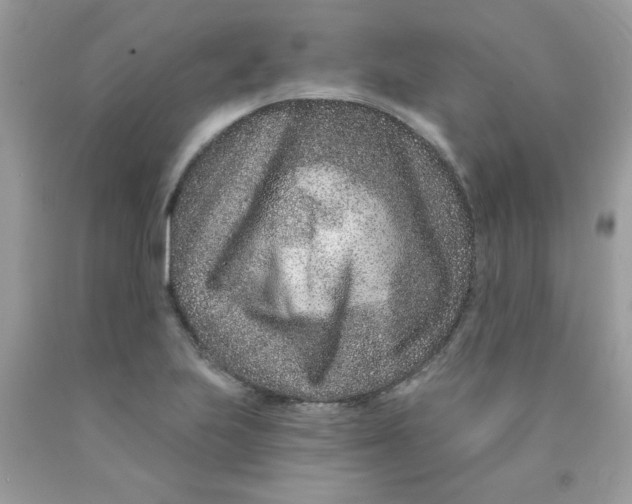 X0000089941223200707201856