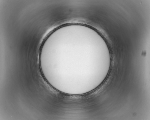 X0000089941224200707201856