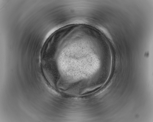 X0000089941226200707201856